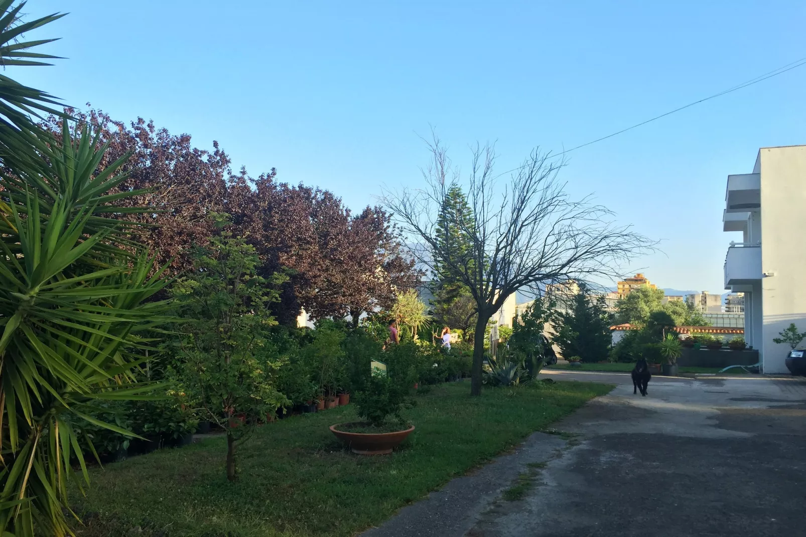 Menotti-Extérieur été