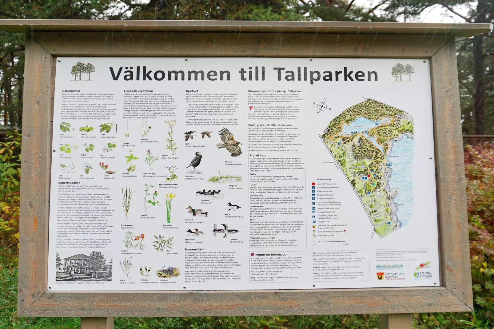 4 person holiday home in ÖREGRUND-Not tagged