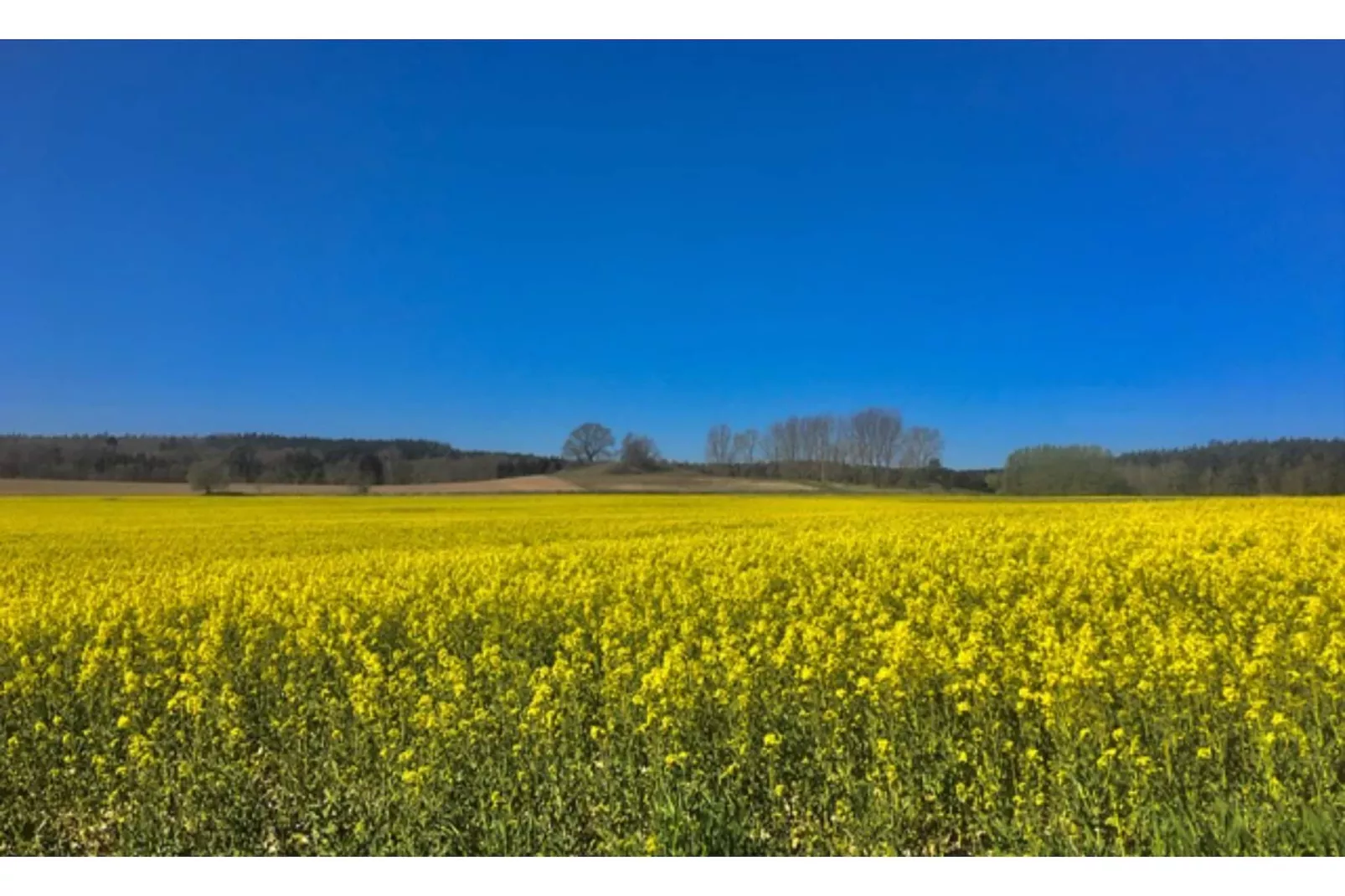 Landlust pur 1-Zones d'été à 5 km