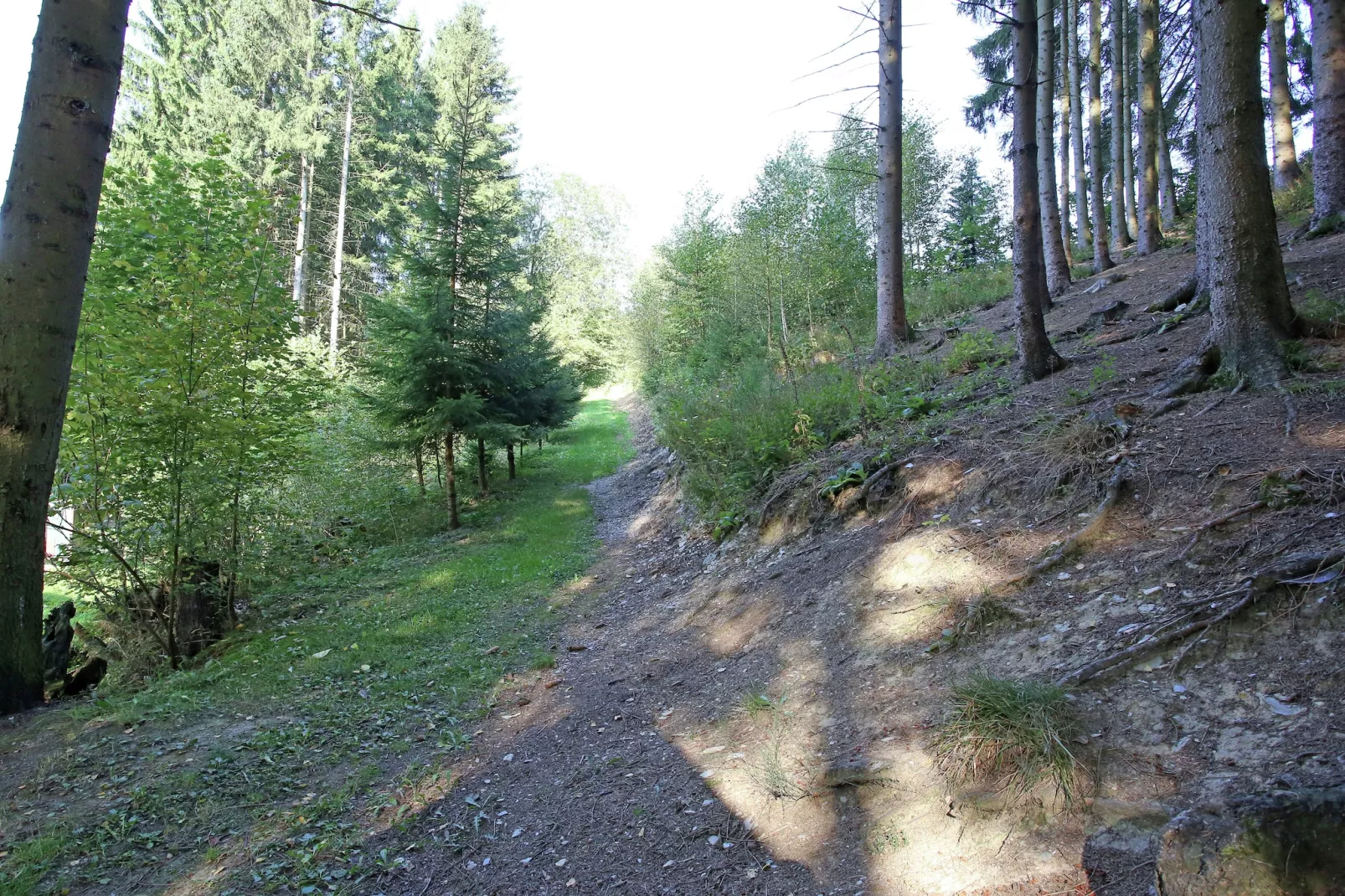 Murmeltier-Gebiete Sommer 1 km