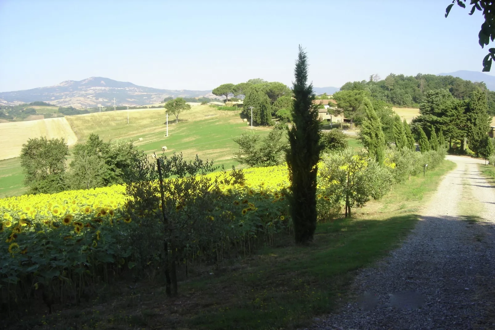 Il Portichetto-Areas summer 1km