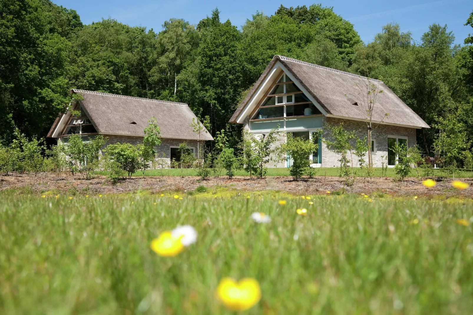 Marke van Ruinen 2-Exterior summer