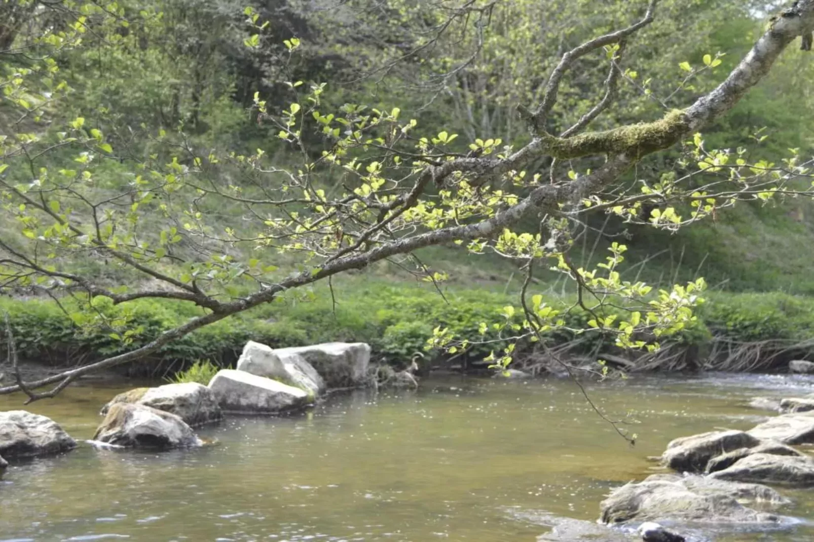 La Source des Bois-Zones d'été à 20 km