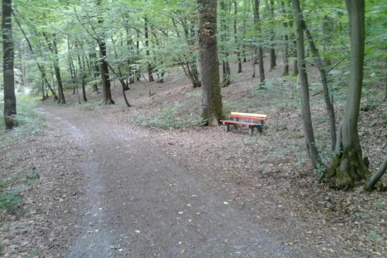 Ferienwohnung Bluzi im Westerwald-Areas summer 20km