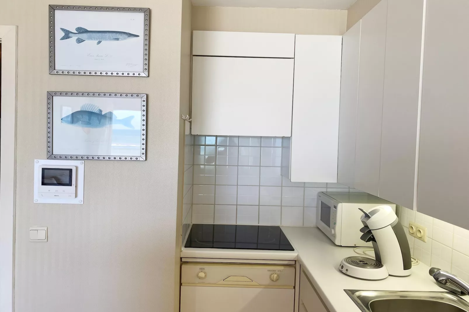 SEAWIND 502-Kitchen