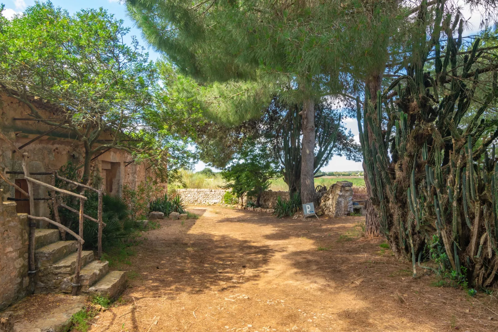 Son Mayol 2-Image-tags.