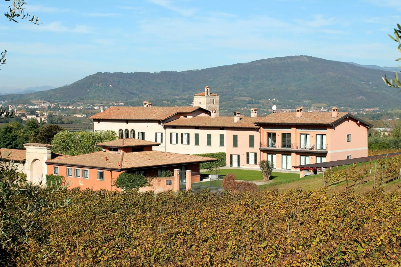 Chardonnay-Exterior summer