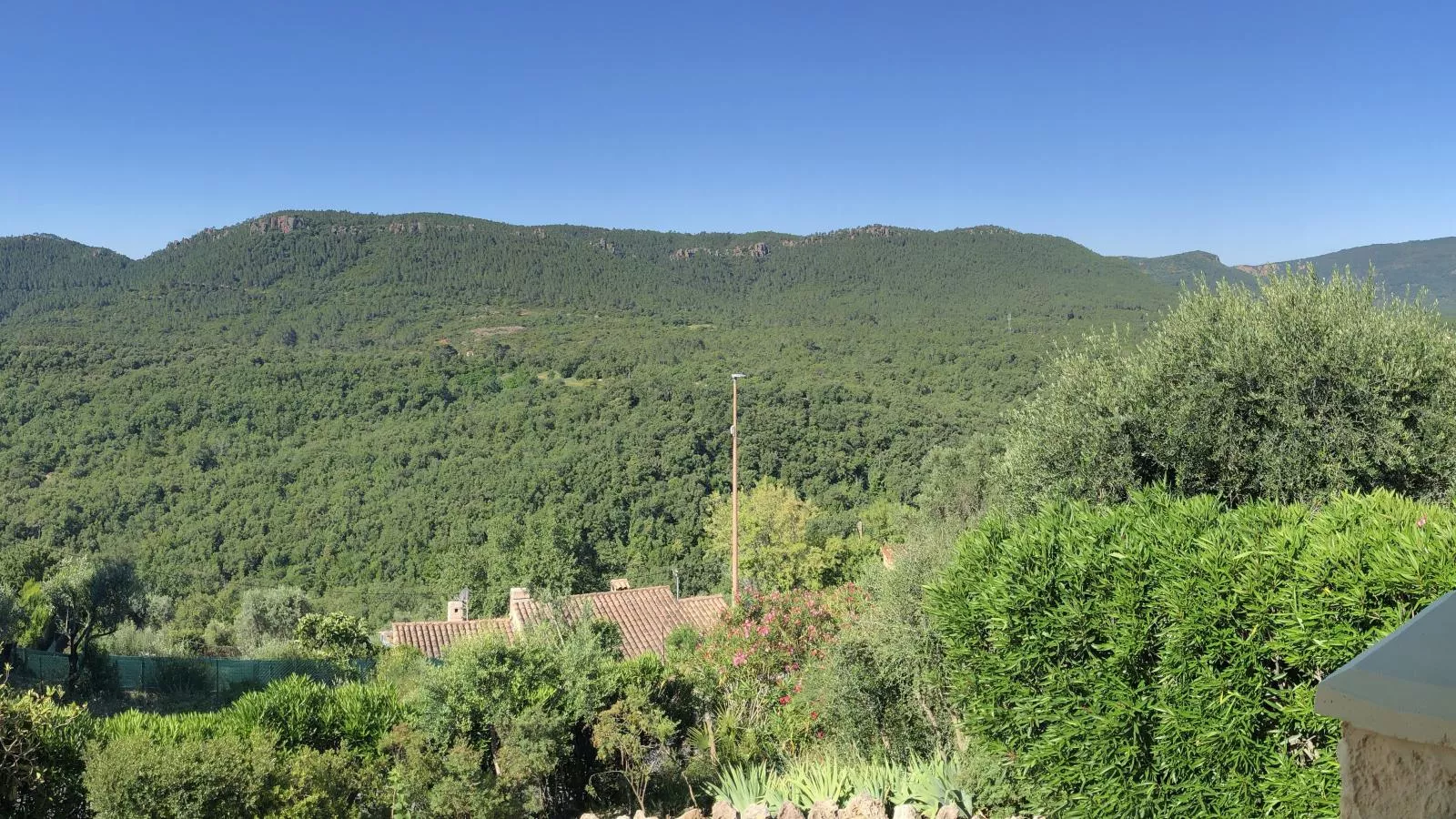 Le Rayol-Aussicht Sommer