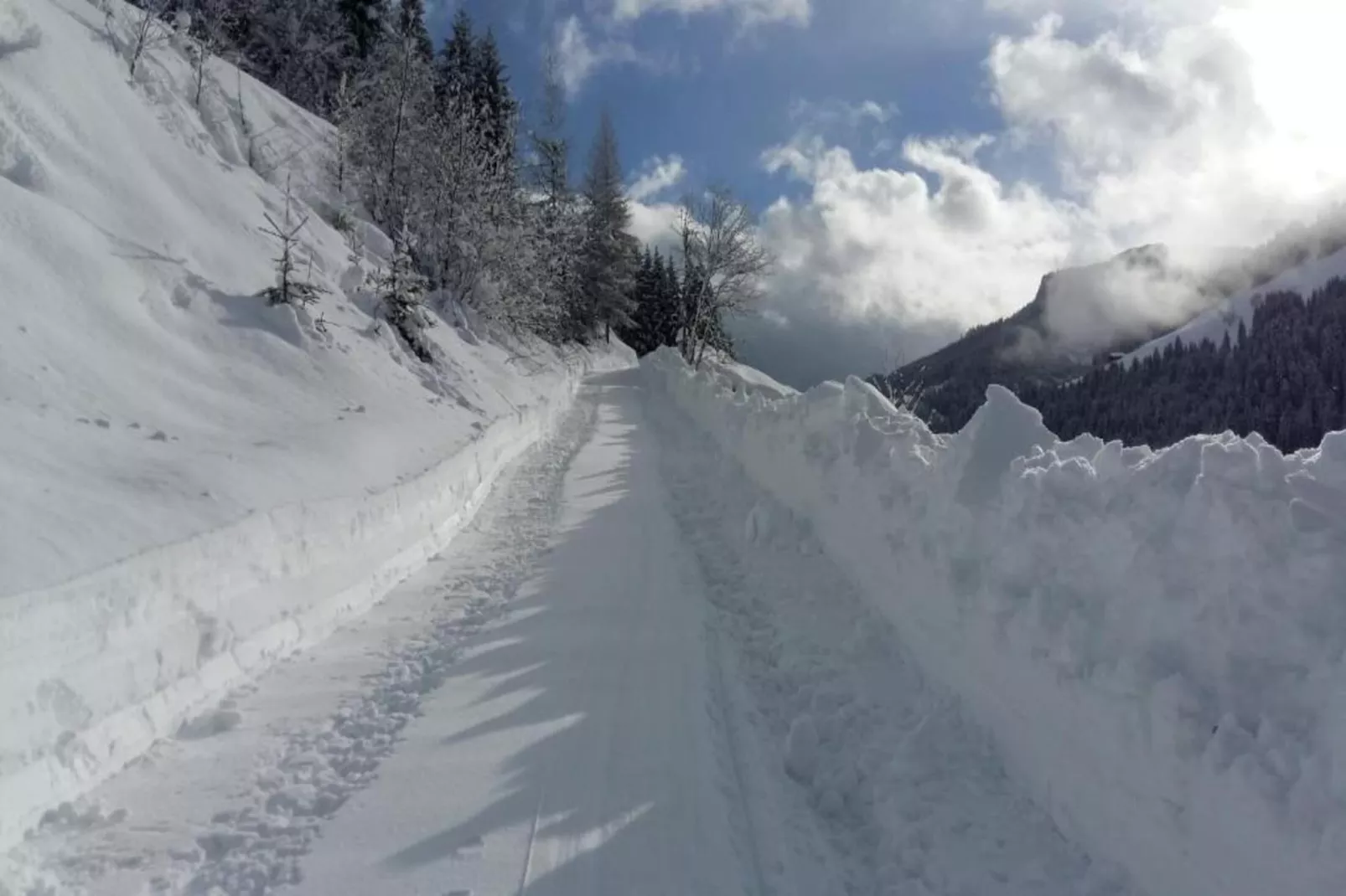 GA2C Alpenleben Apartments-Area winter 20km