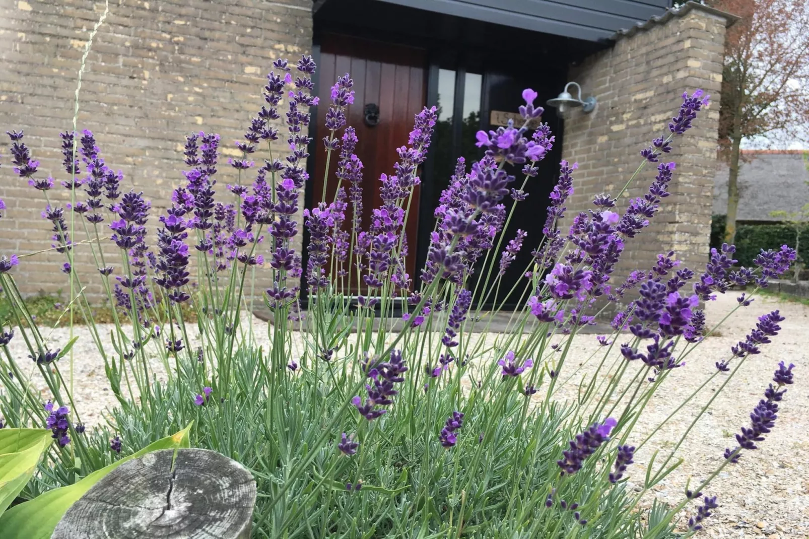 De Schelp 07-Gardens summer