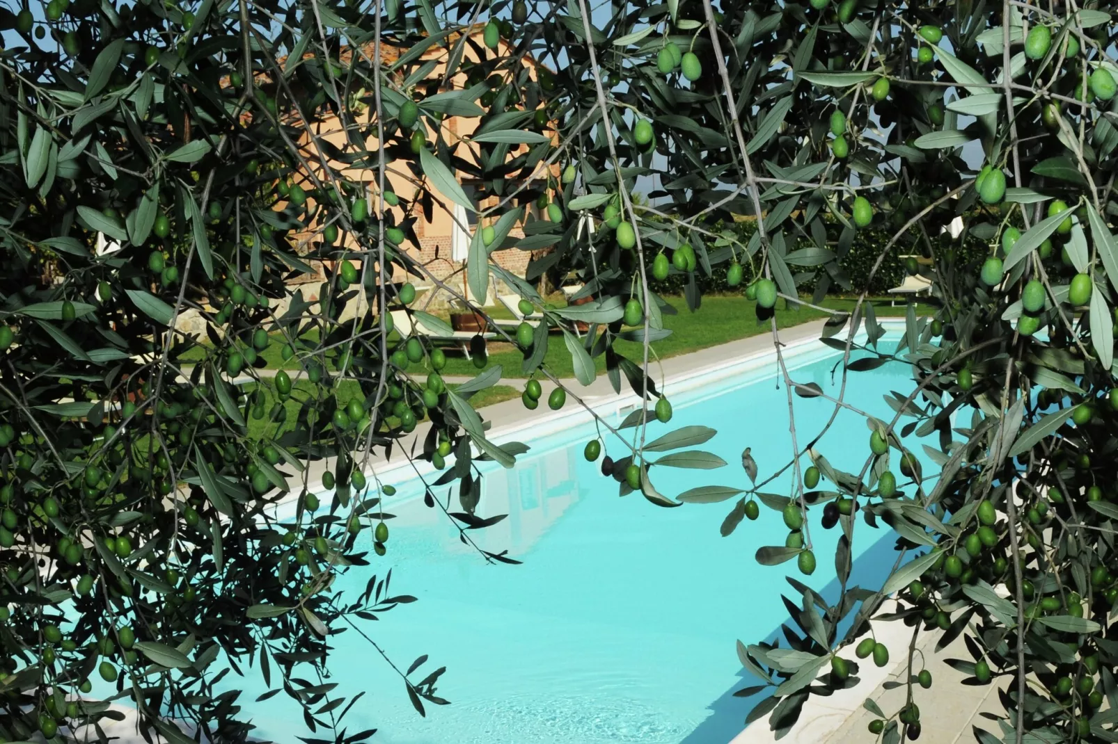 Fiordalisi-Piscine