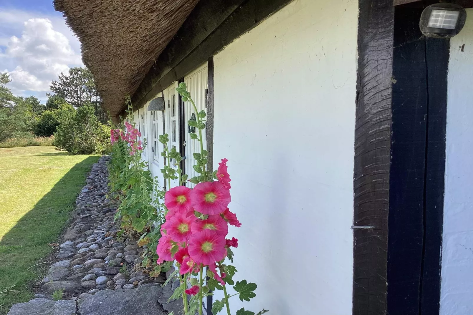 4 Sterne Ferienhaus in Læsø-Außenbereich