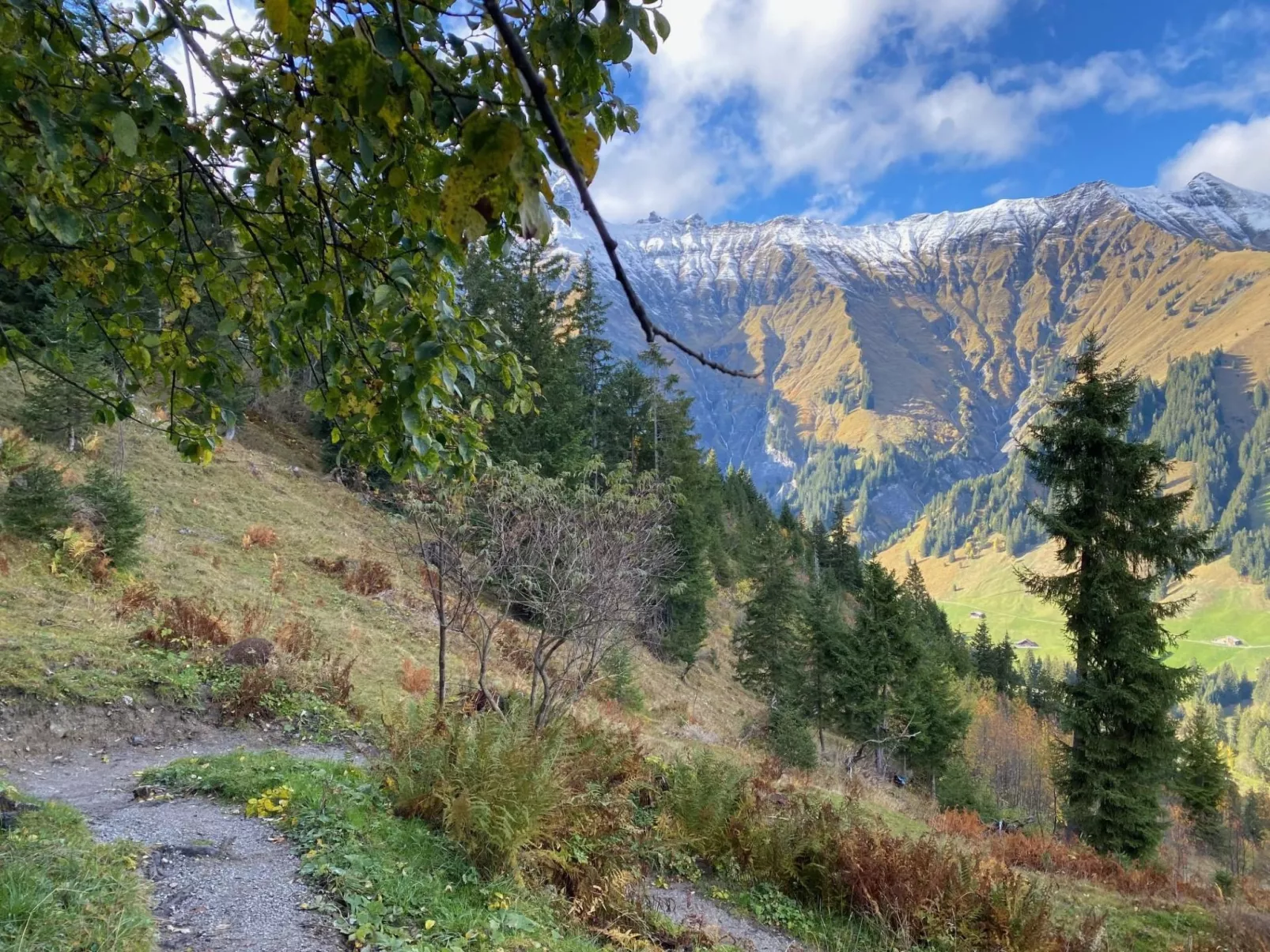 Alpenrose-Outside