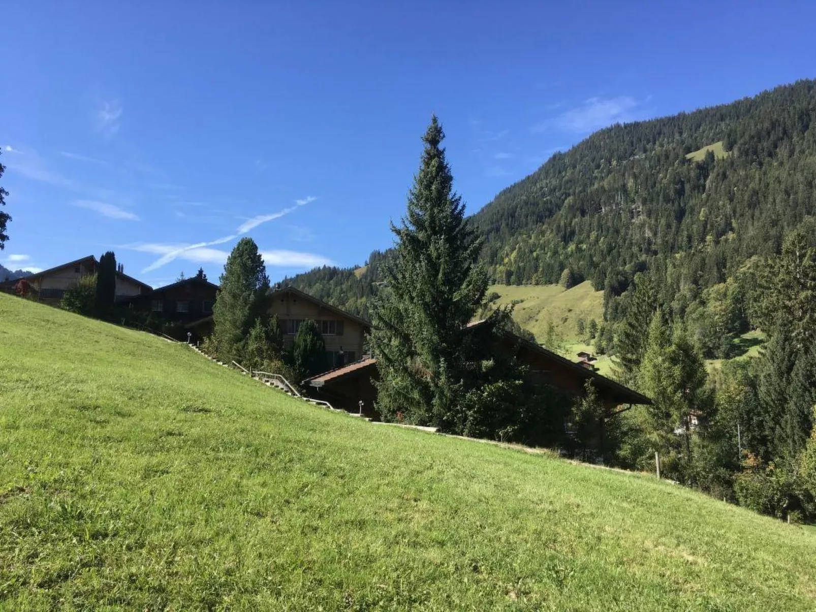Halten-Dehors