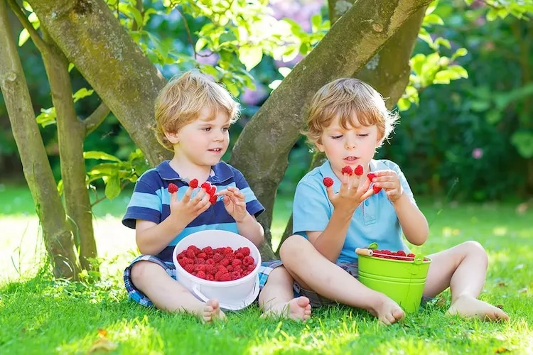 Domki wakacyjne na min 5 dób Domasławice-Gärten Sommer
