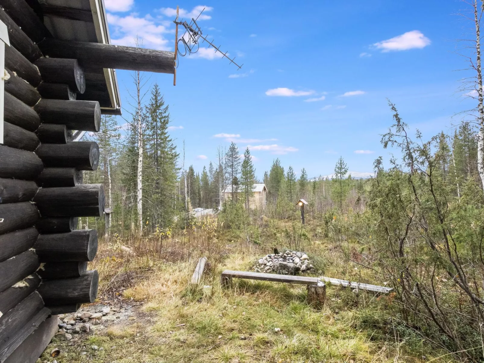 Tunturitähti, lainio-Outside