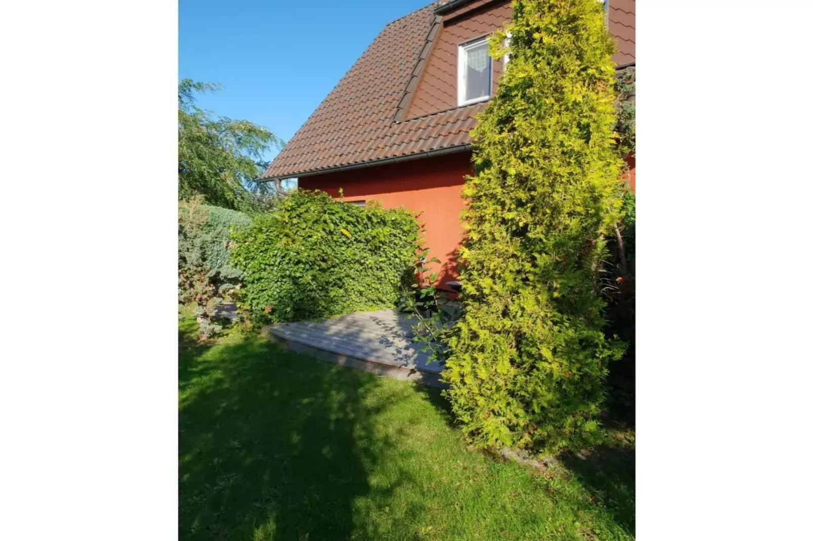 319093-Jardin d'été