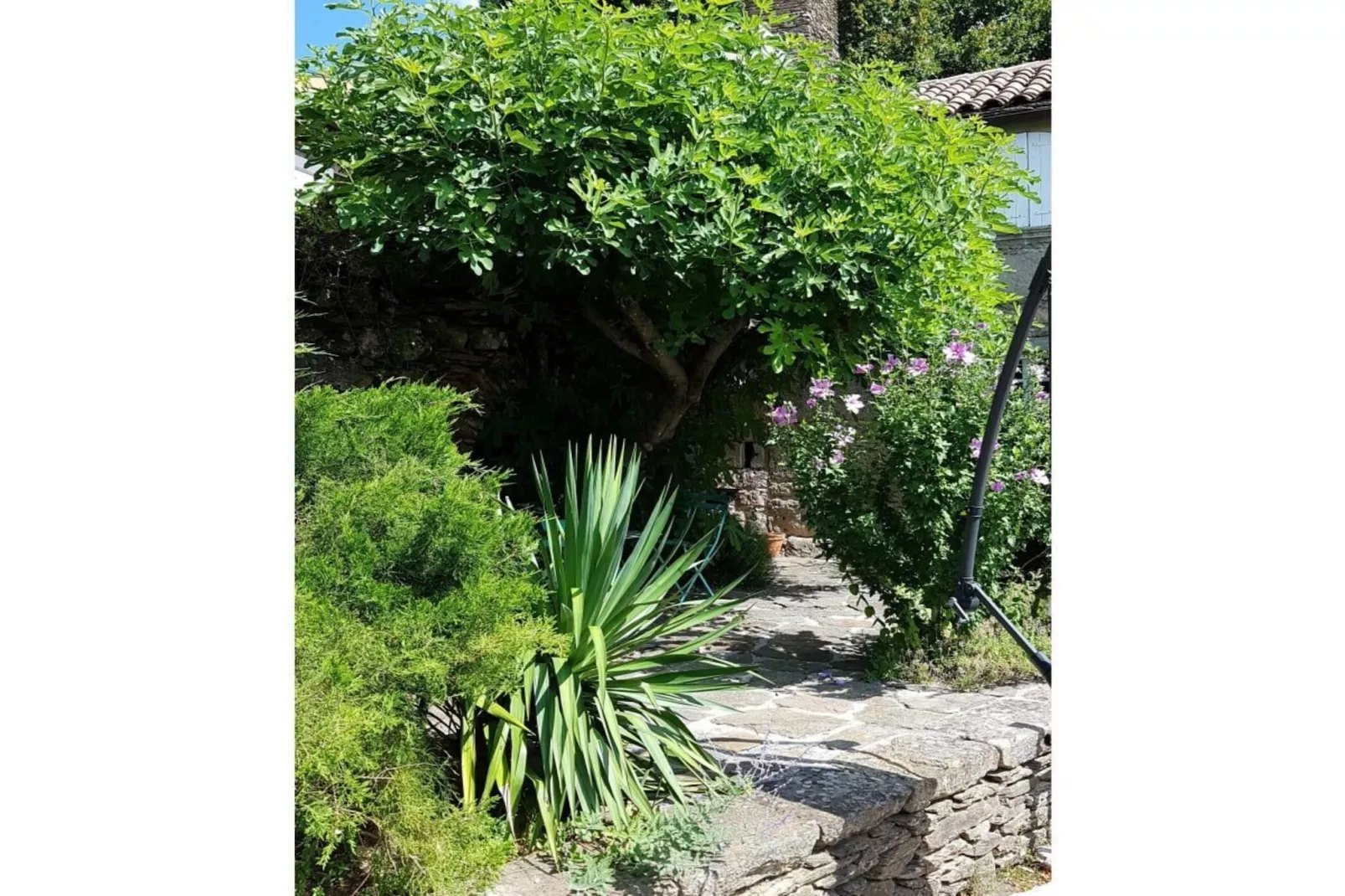 380987-Gardens summer