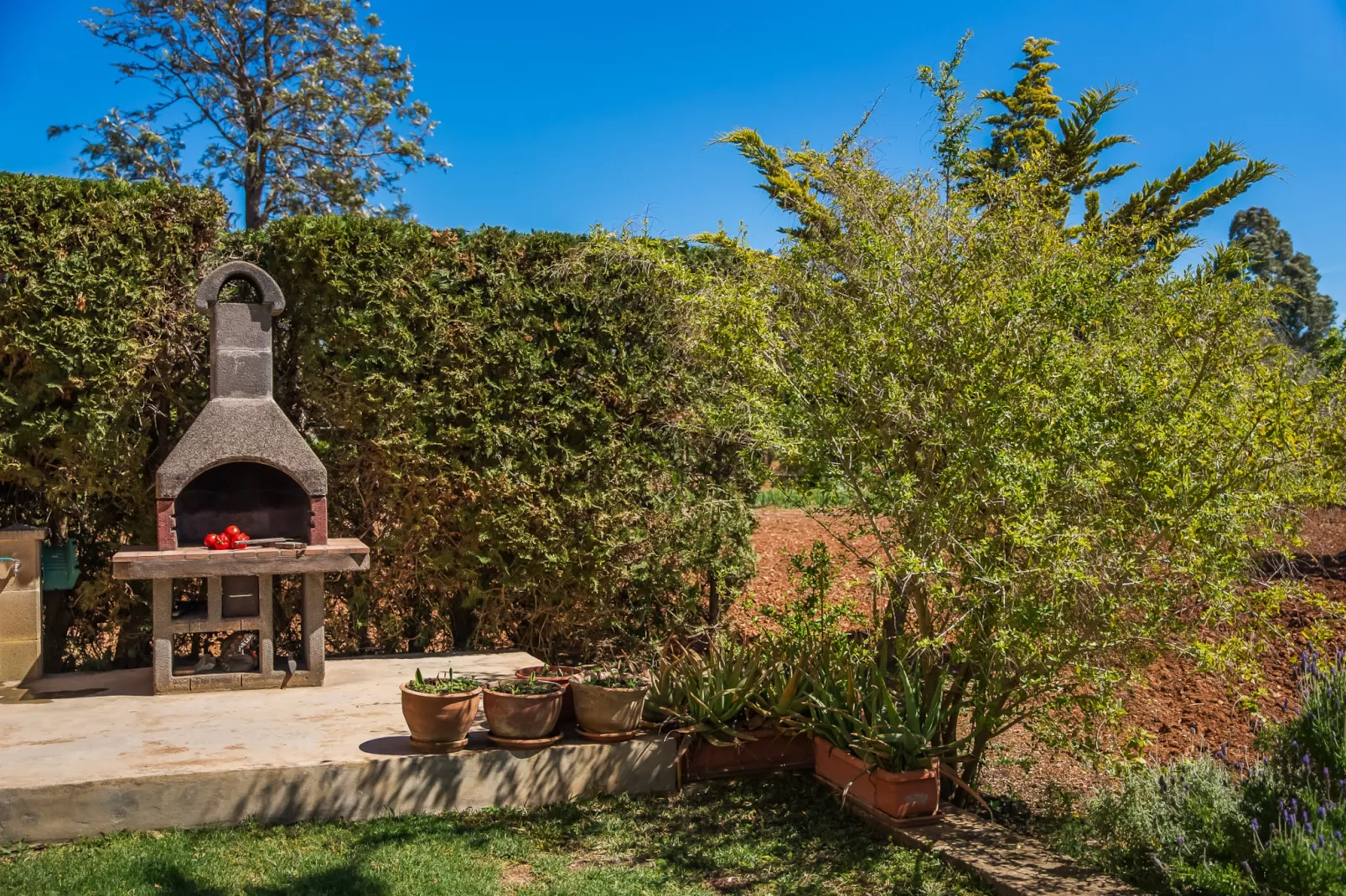 Finca Es Baladre-Jardin d'été