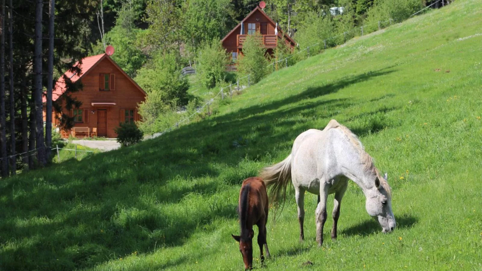 Sternenchalet-Aussicht Sommer