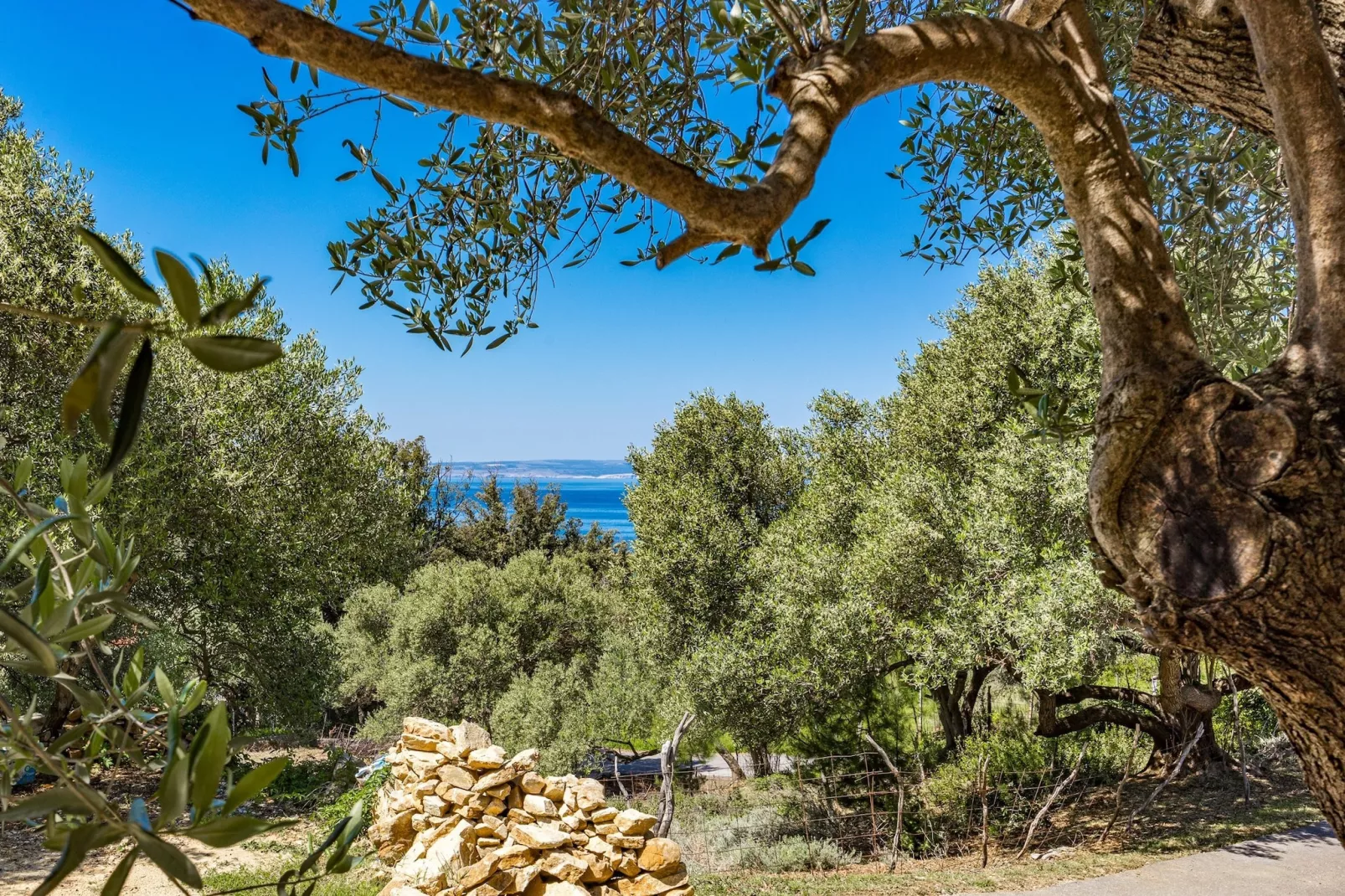 Anamar - Double Room-Outdoor