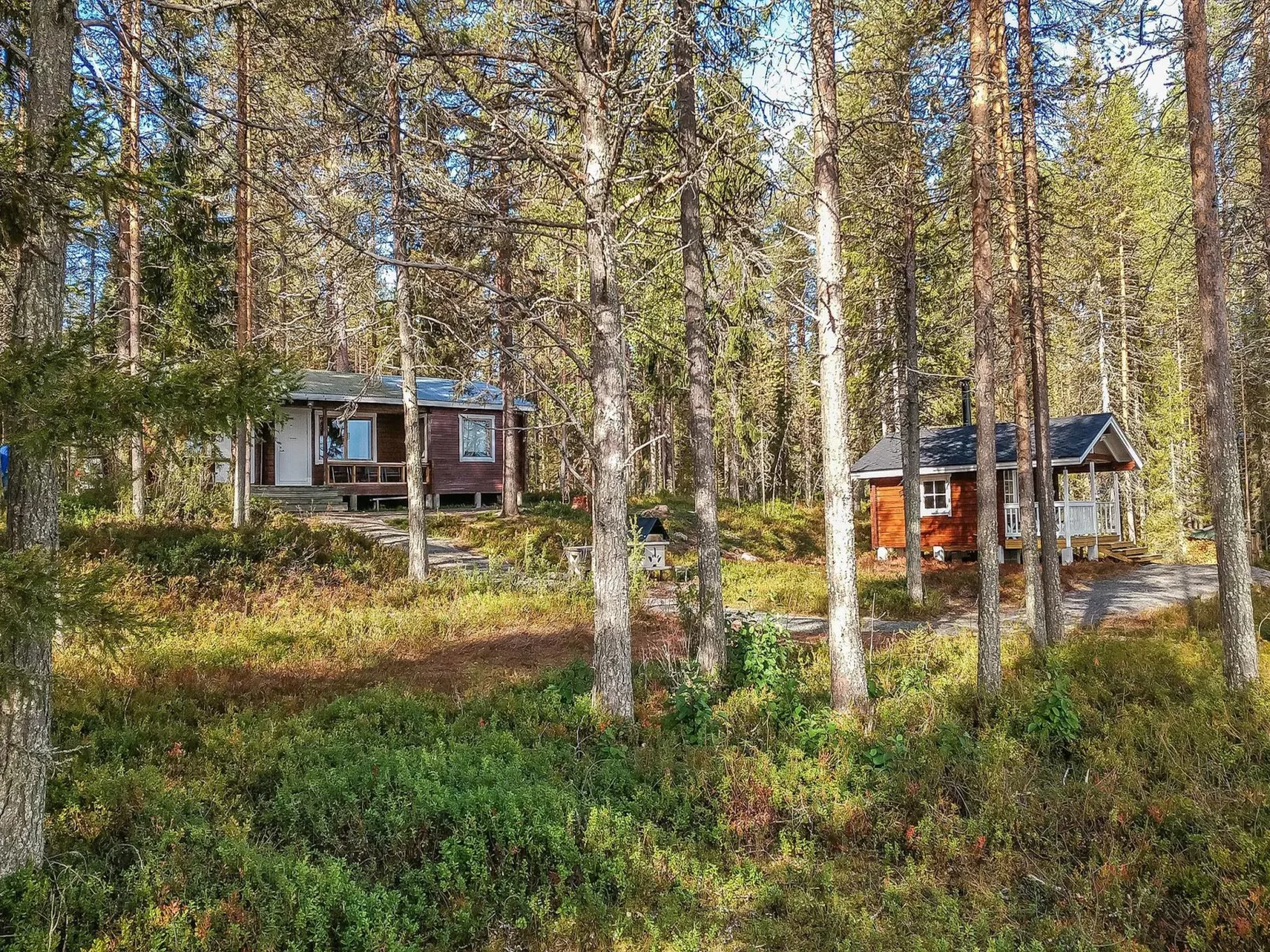 Ylikitkajärvi, kesäkumpu-Draußen