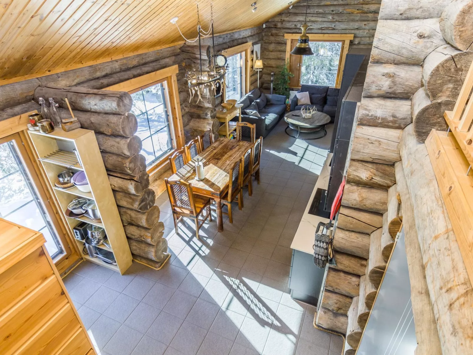 Muuttohaukka-Inside