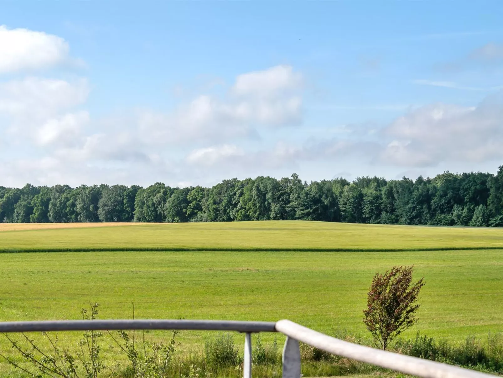 "Åsa" - 1.9km from the sea-Draußen