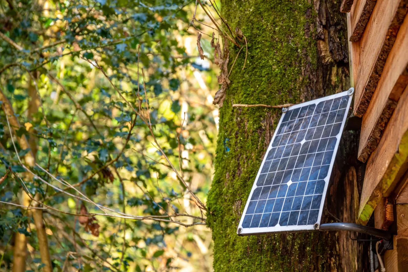 Yeworthy Eco-Treehouse-Atmosphere