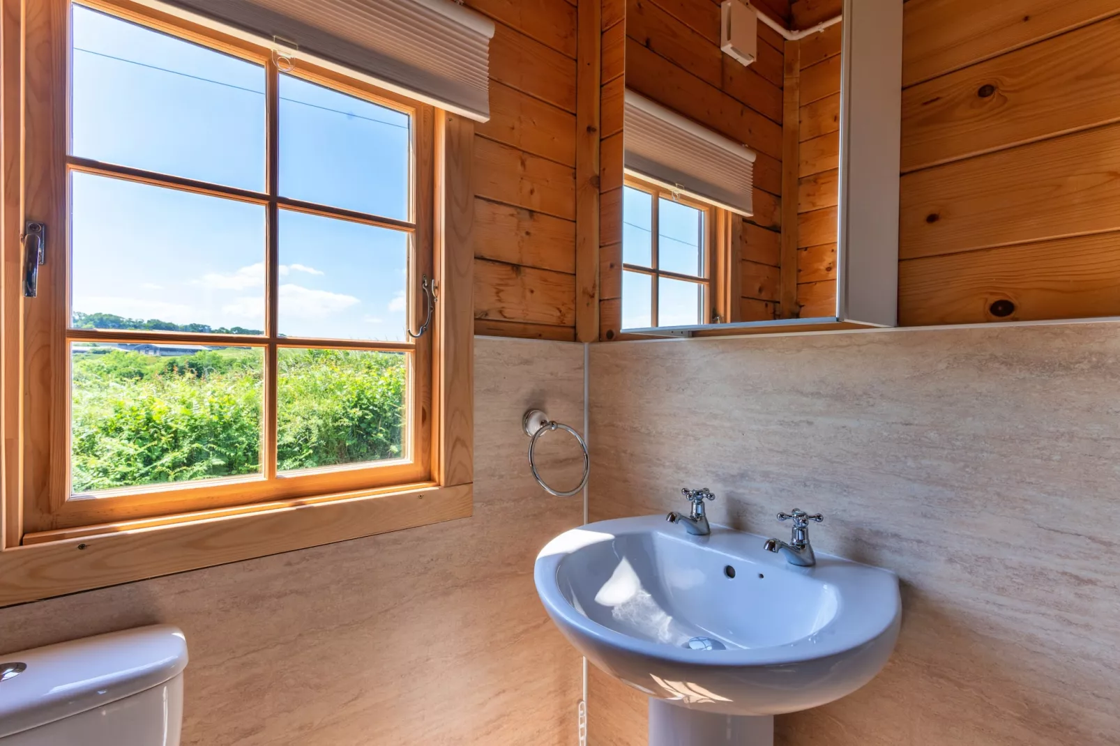 Moor View Cabin-Bathroom