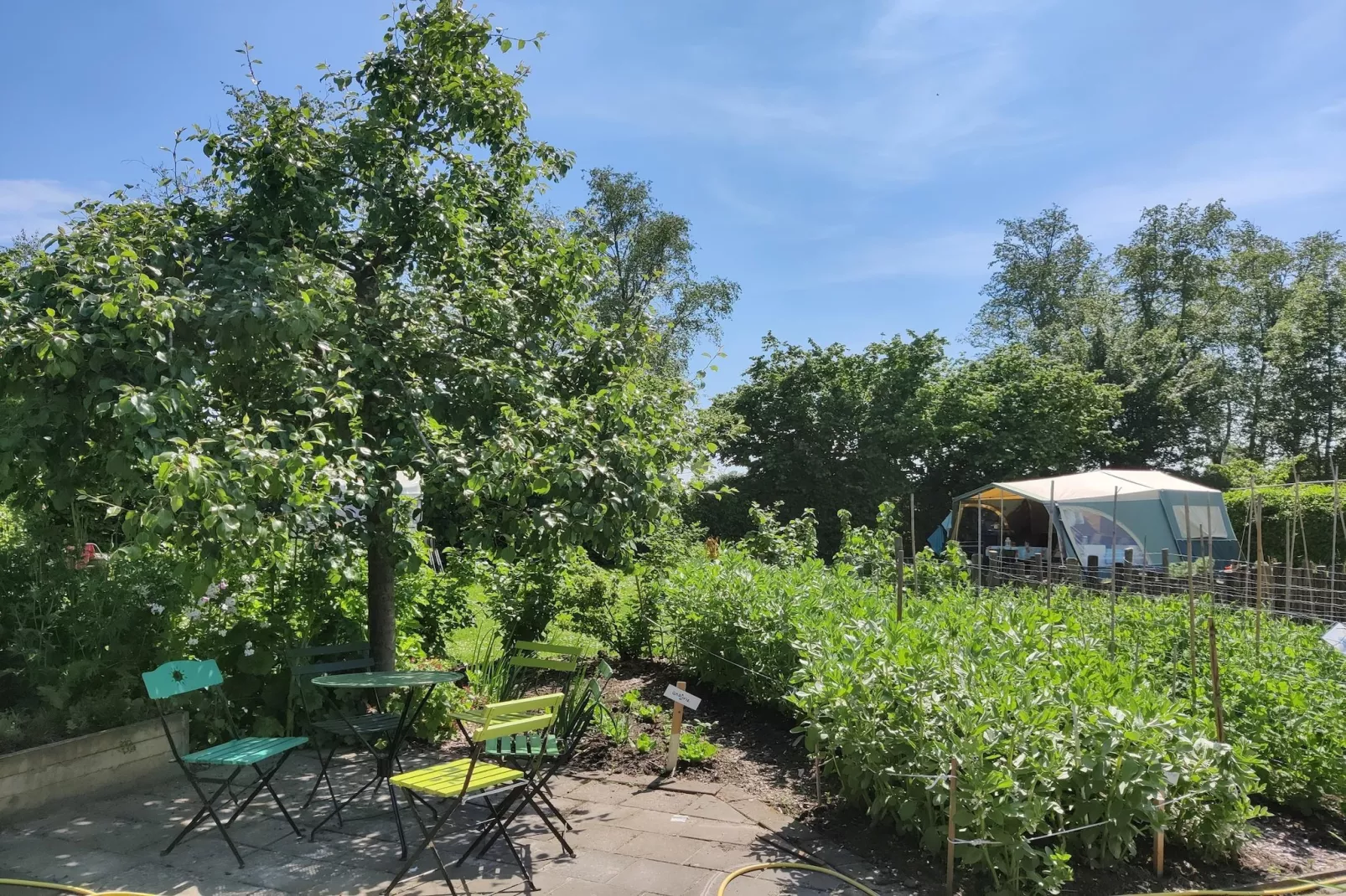Large Green House 4 persoons-Gardens summer