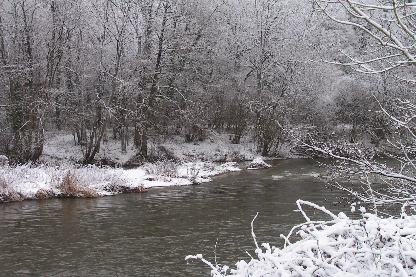 Domaine De L'Ecureuil 4-Area winter 1km