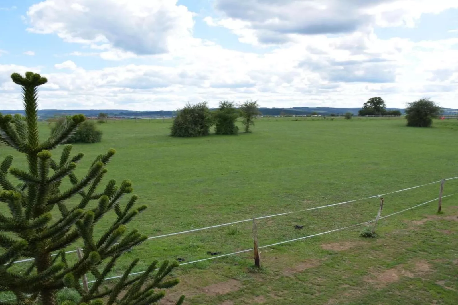 Lesternid-Gebiete Sommer 20 km