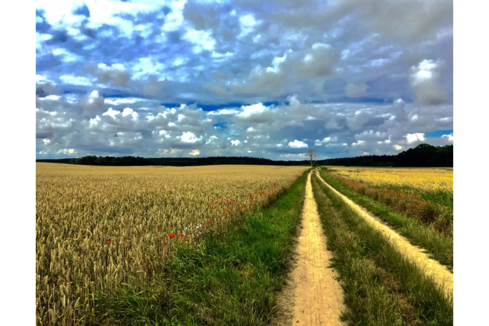 Landlust pur 1-Zones d'été à 5 km