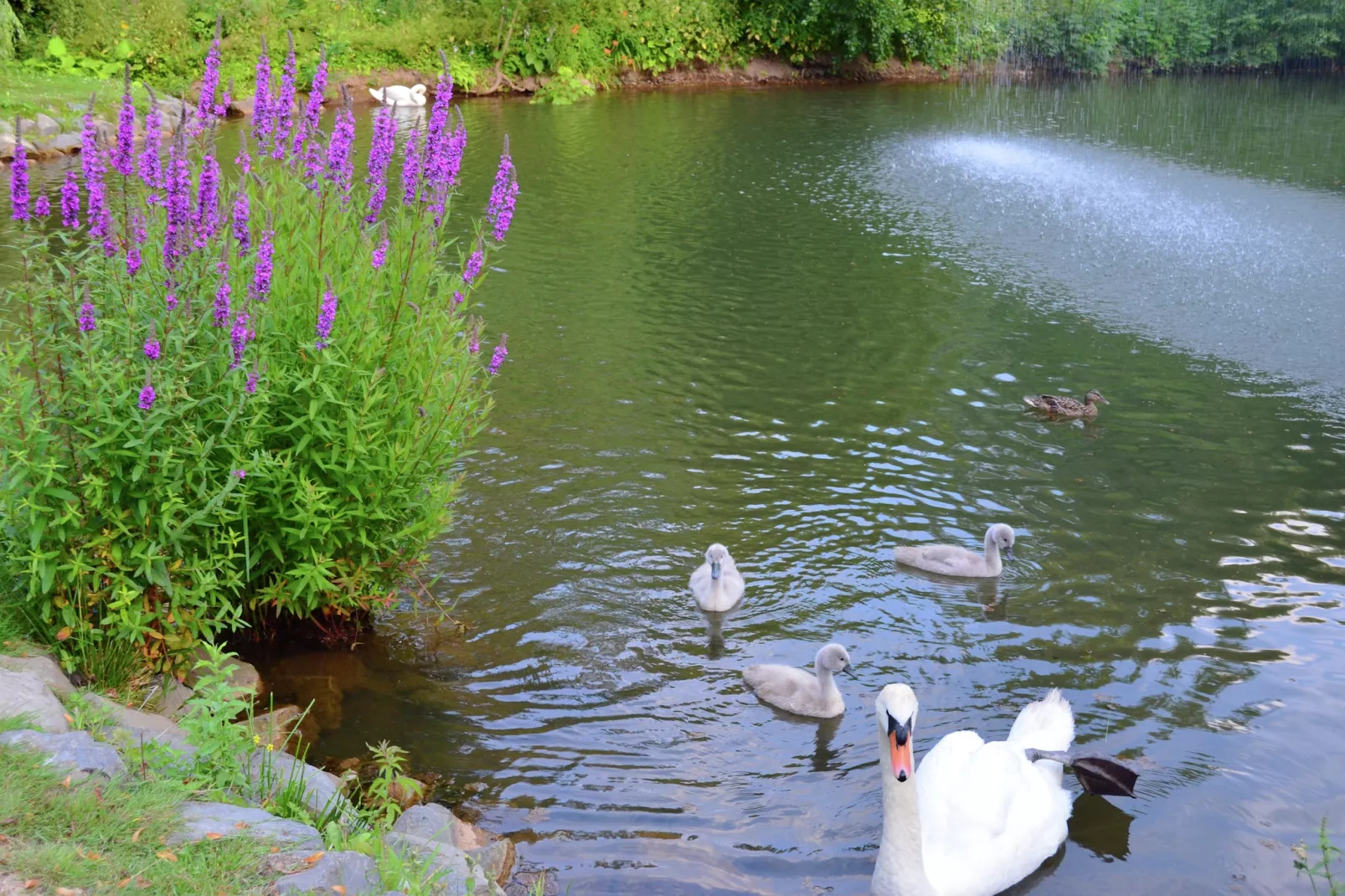 Am Ferienbauernhof - FW 2-Areas summer 20km