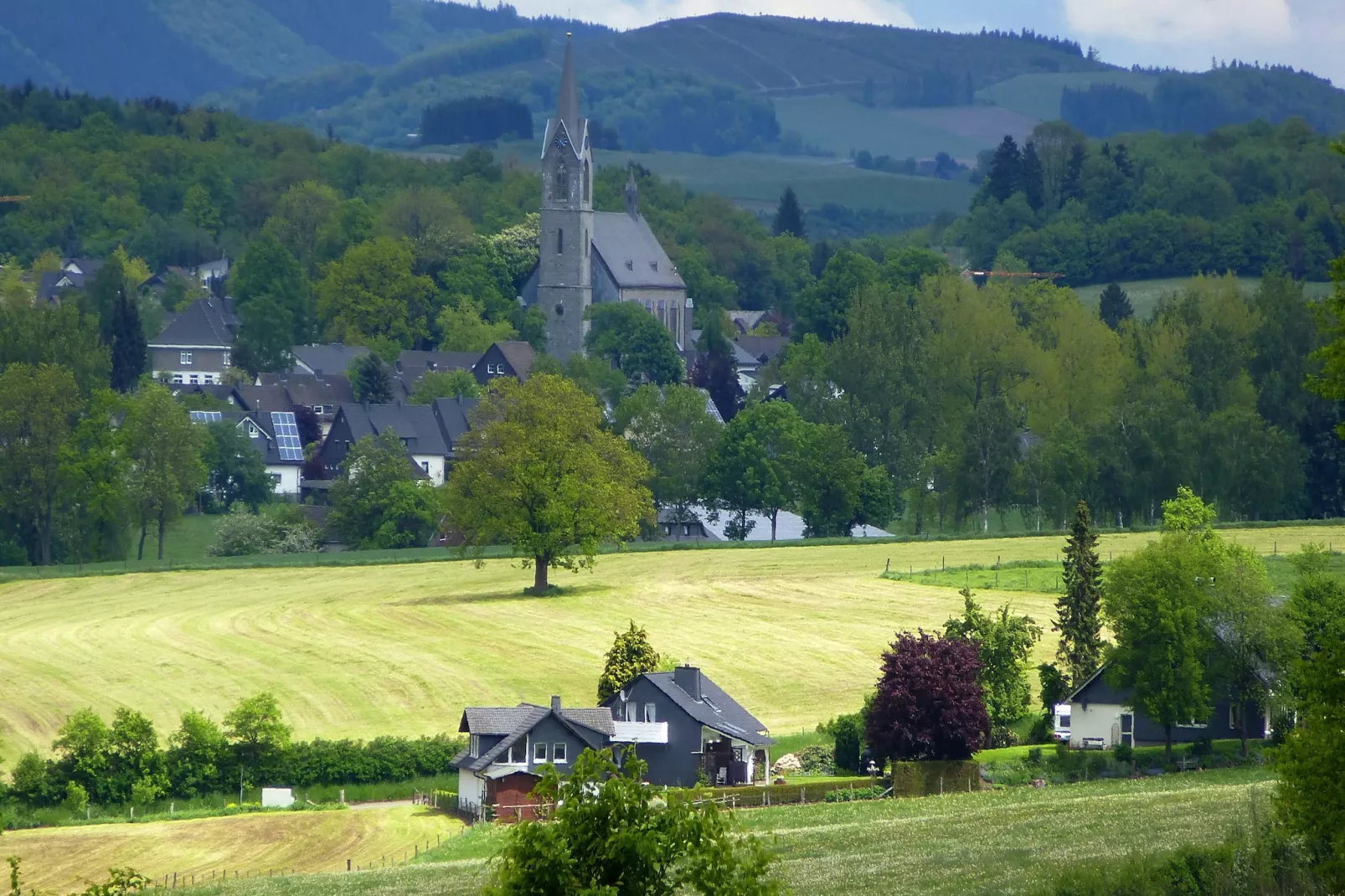 Wilzenberg-Gebiete Sommer 5 km