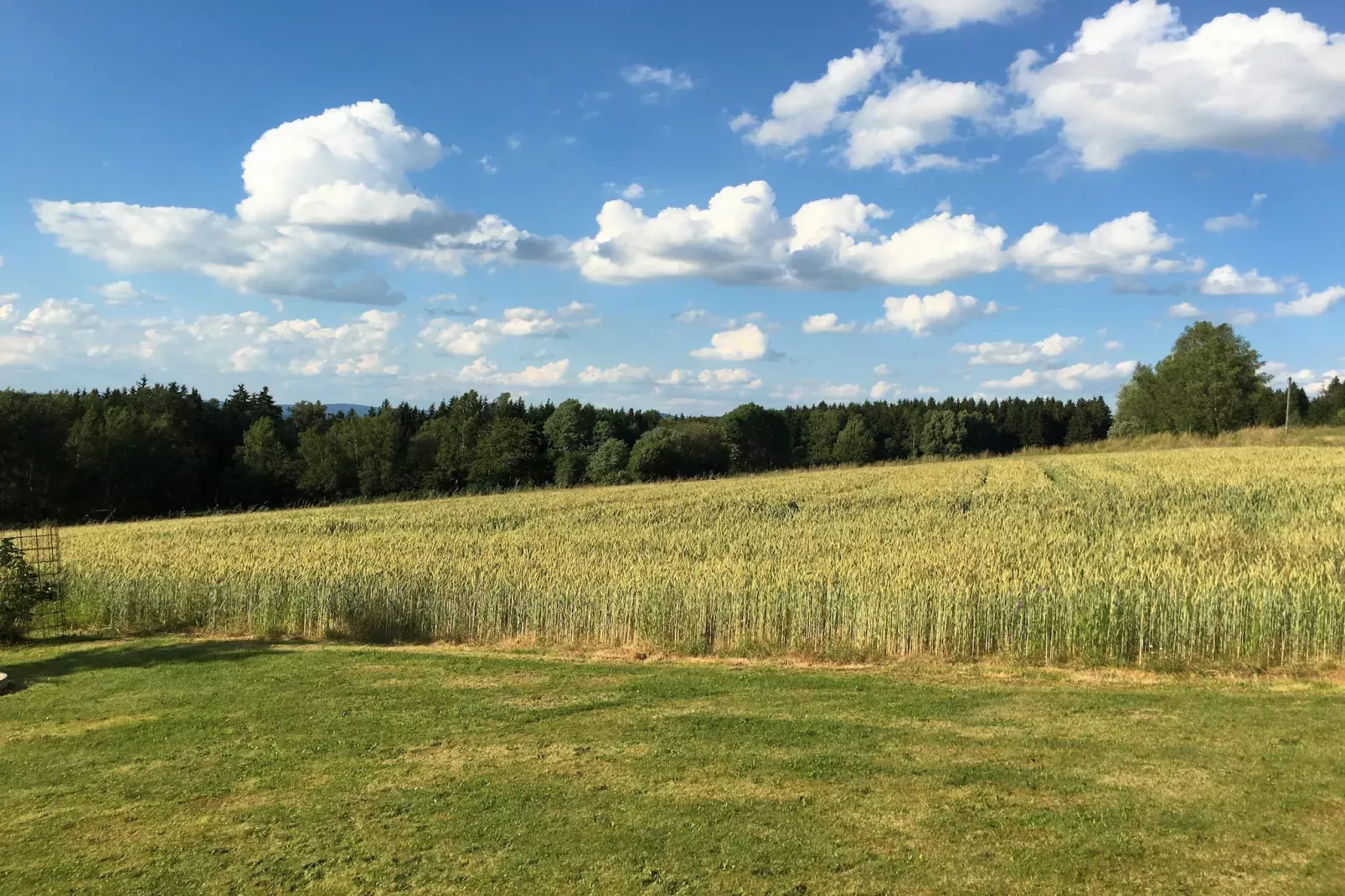 Bayern-Vue d'été