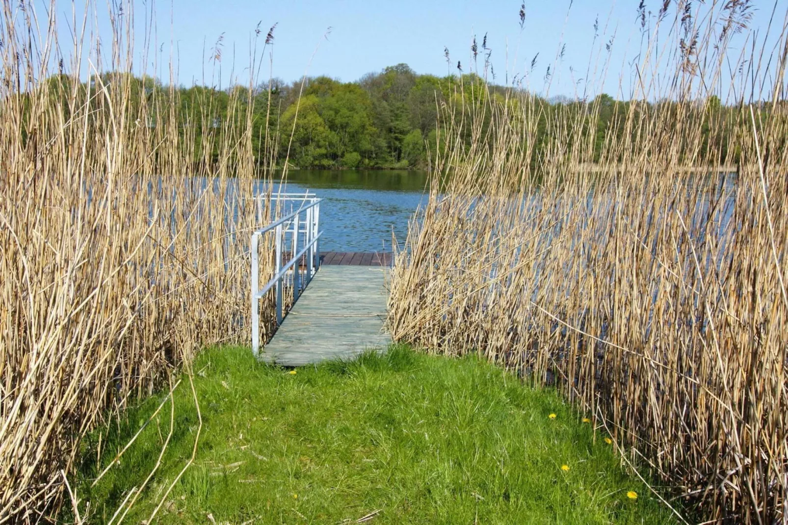 Ferienhaus Seeblick-Aussicht Sommer