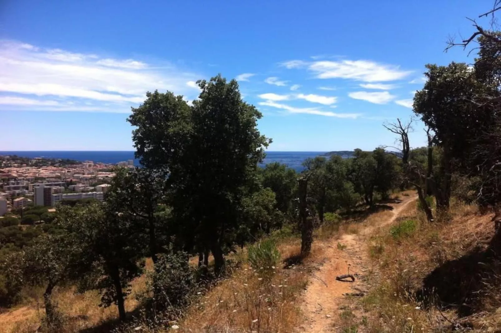 Residence Port Marine 1-Areas summer 5km
