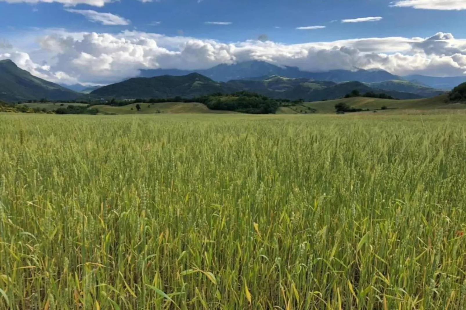 Casale le Querce-Areas summer 20km