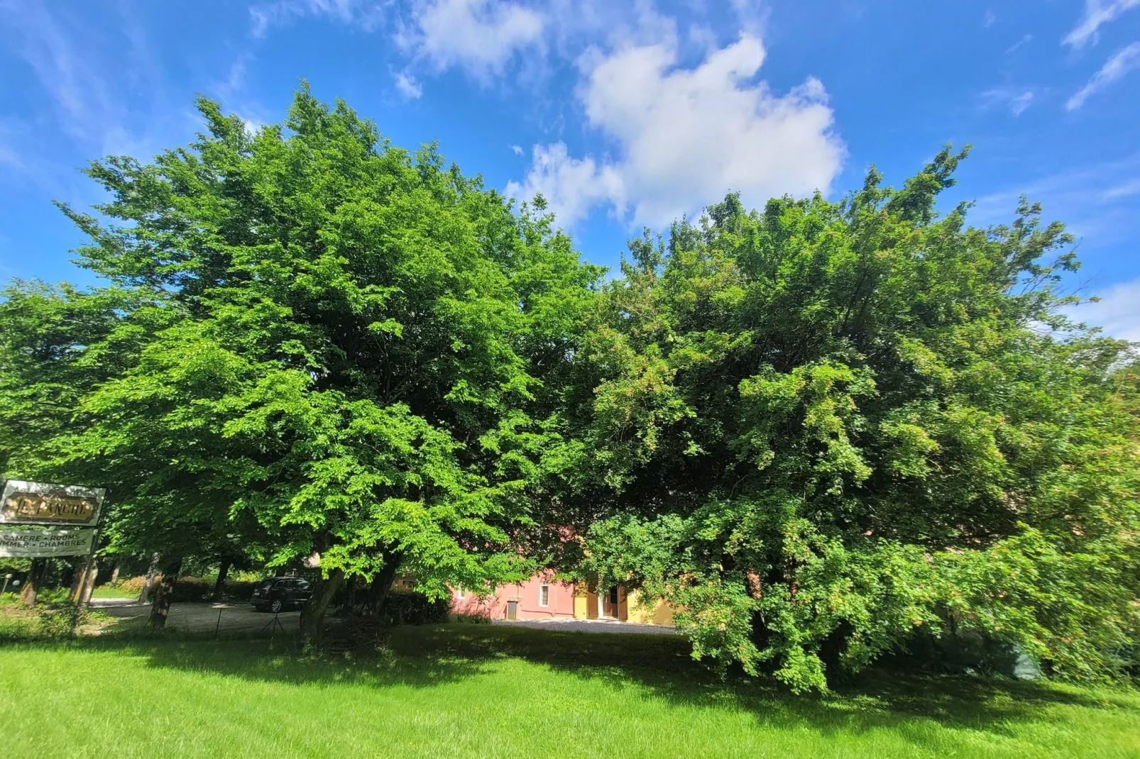 Insieme in Panche-Gardens summer