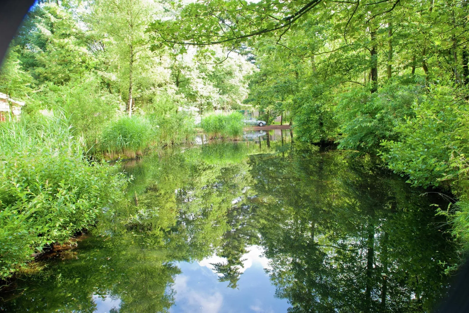 Vakantiepark de Berkenhorst 2-Areas summer 1km