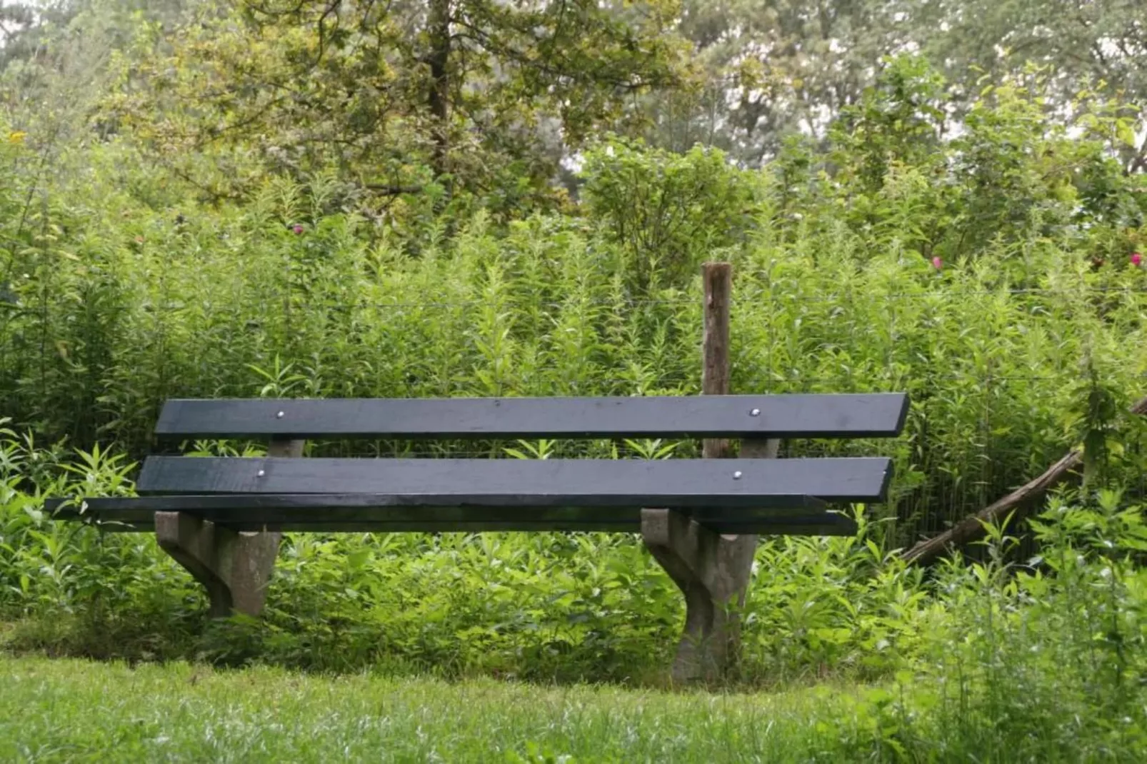 Het Kruisselt-Gebiete Sommer 20 km
