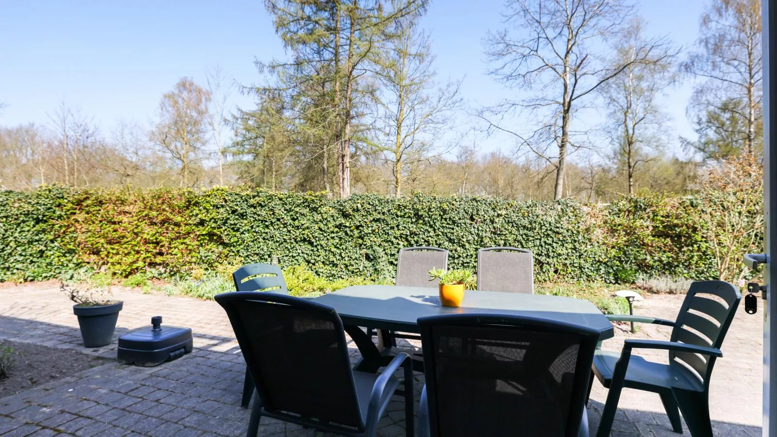 Landhuis 42-Gardens summer