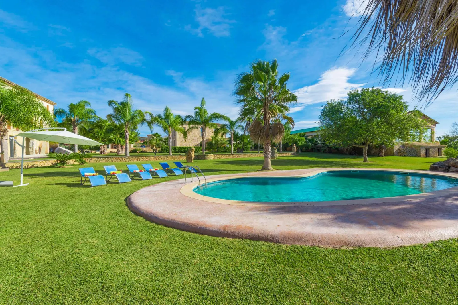 Son Perot-Pool