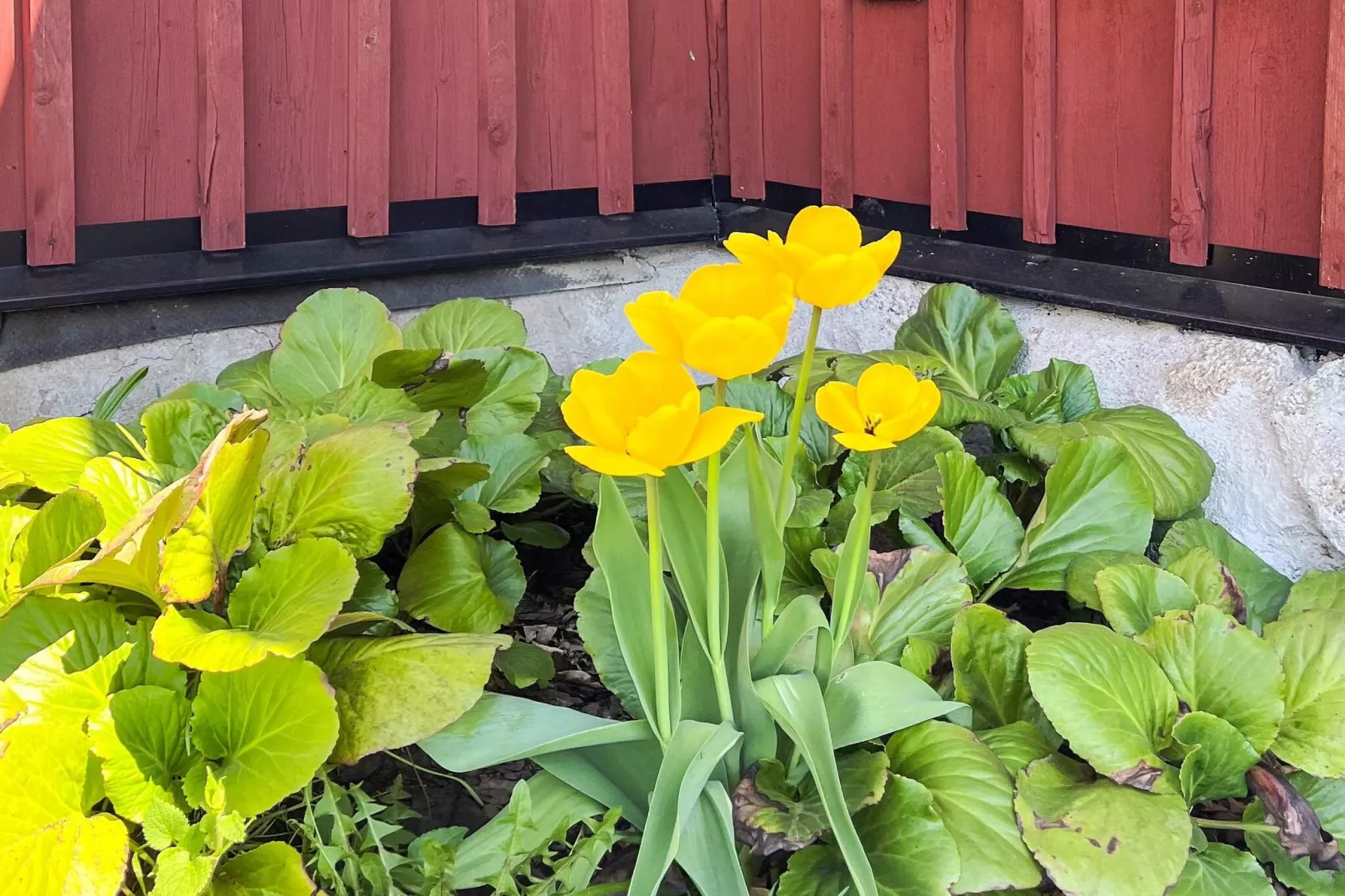 4 Sterne Ferienhaus in Märsta-Außenbereich