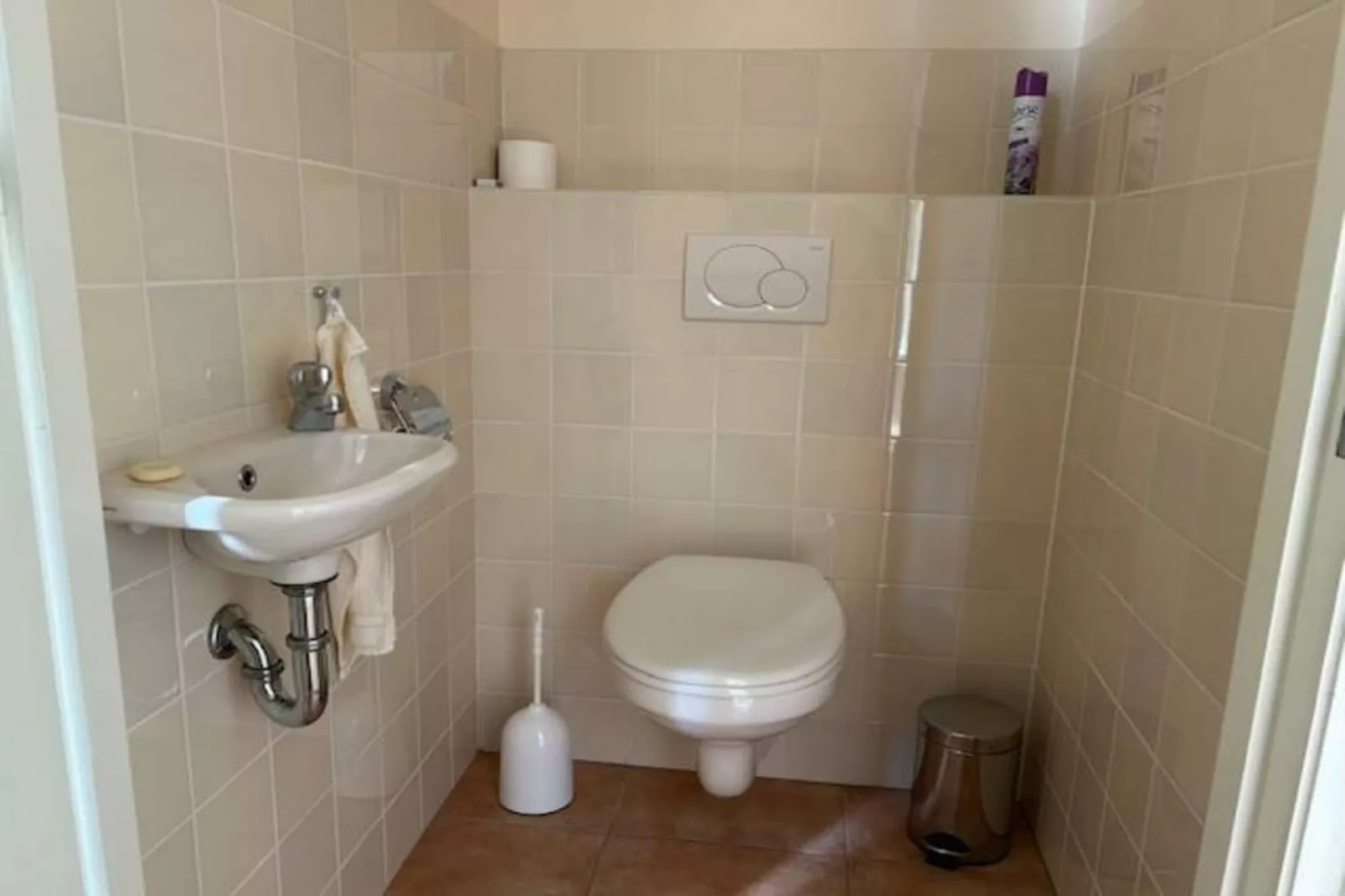 Campanula 11-Bathroom