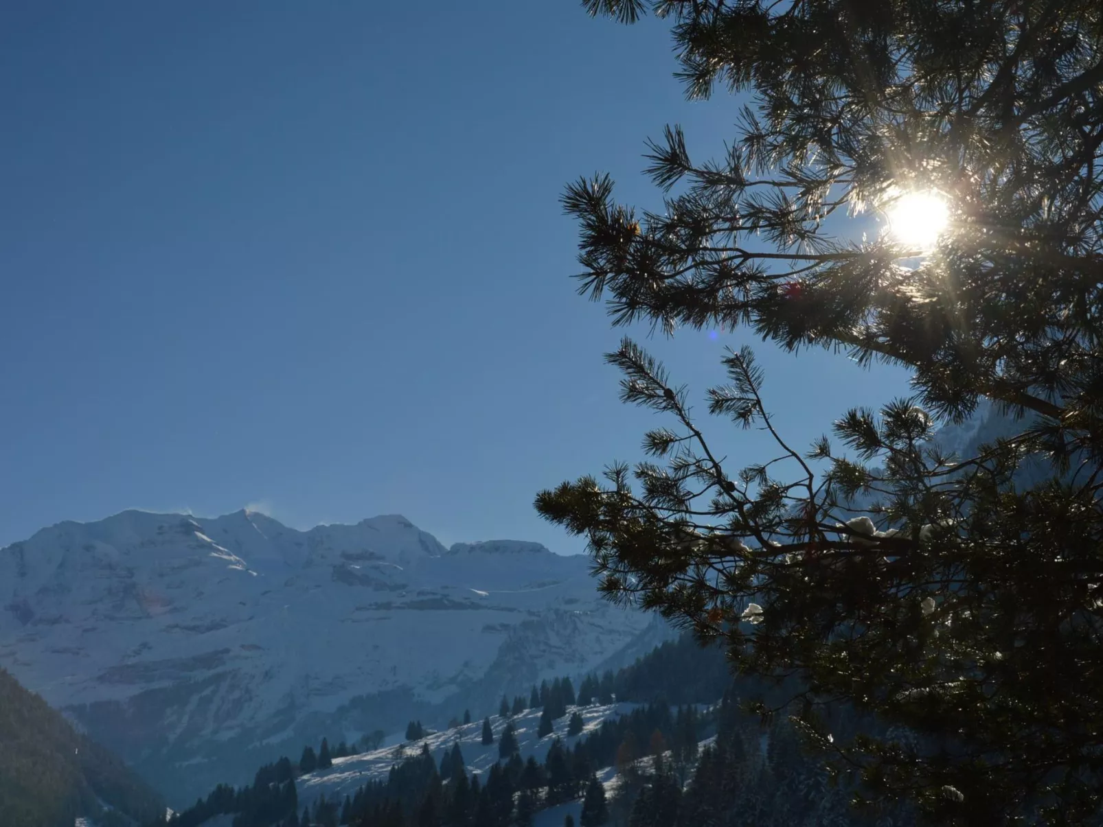 Chalet Zimmermann-Draußen