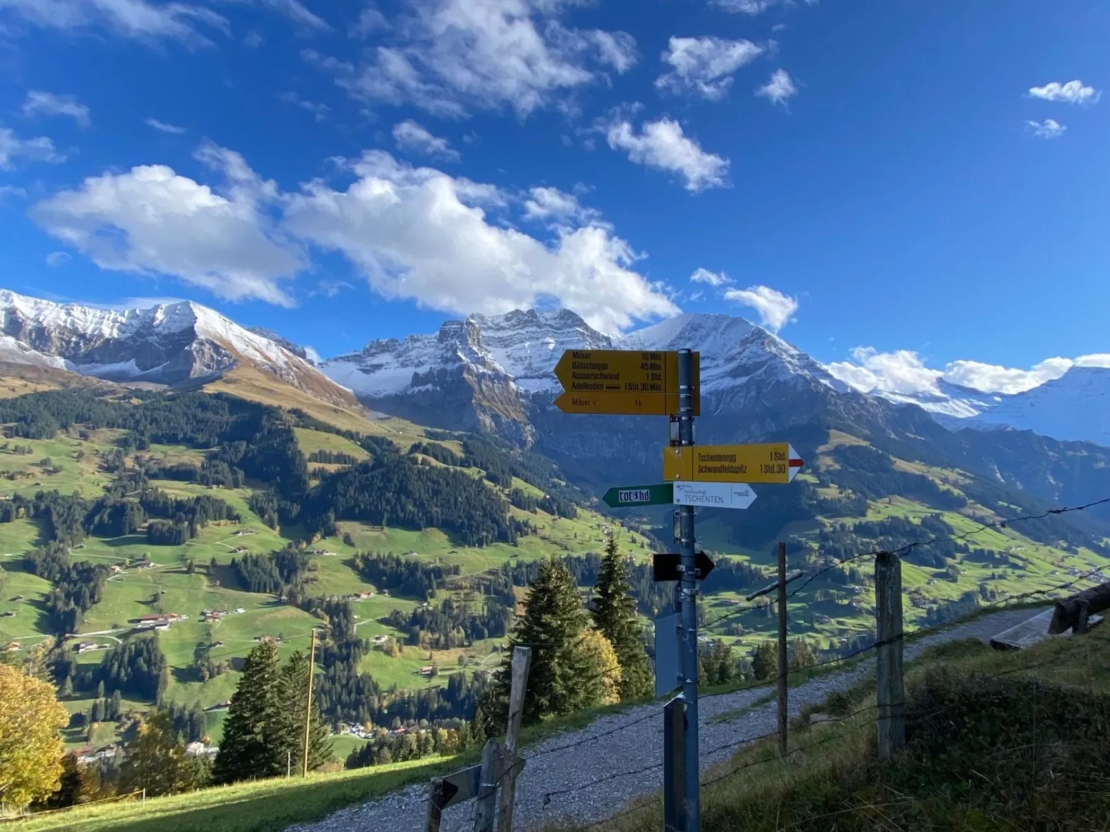 Alpenrose-Dehors