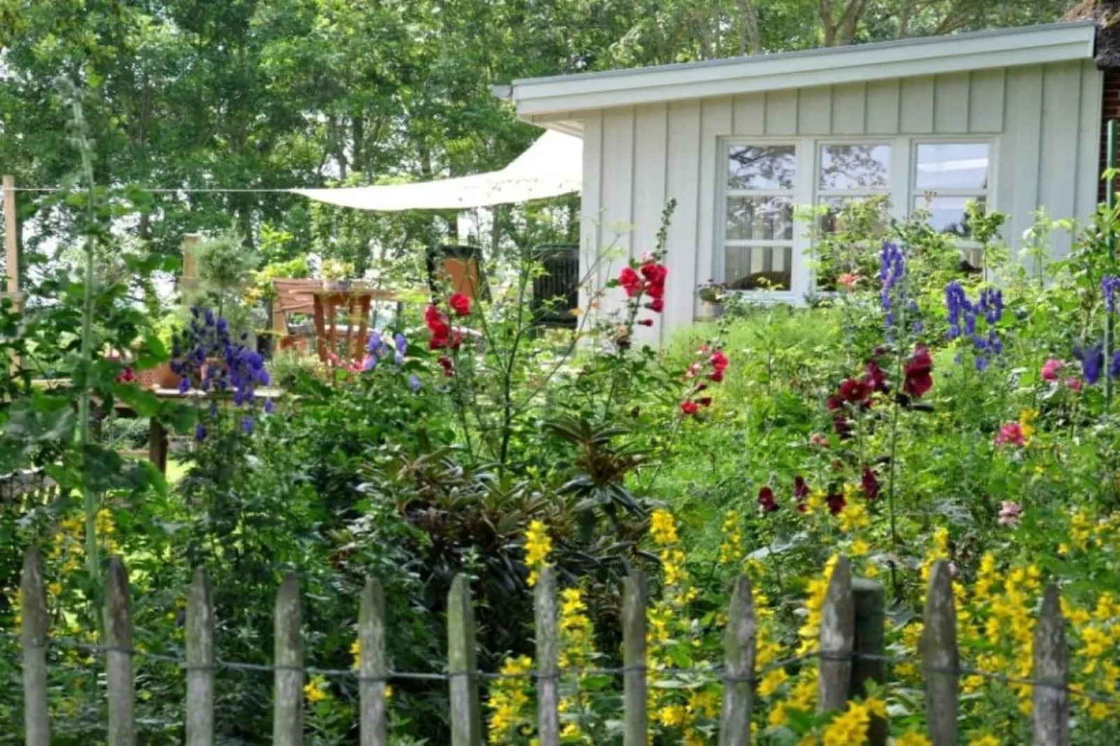 66769-Exterior summer